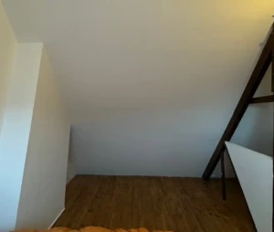 Dépose de lambris 3