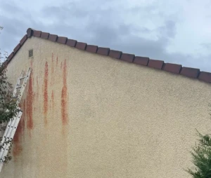 Nettoyage du pignon avant